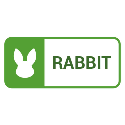 Rabbit Steuerung